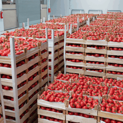 Grossiste alimentaire Visuel grossiste alimentaire
